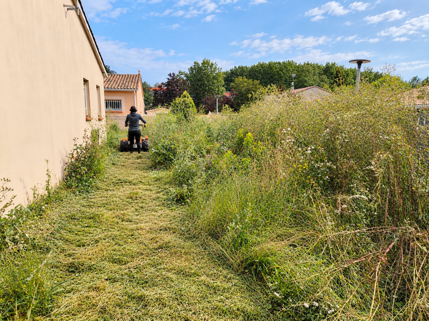 Entretien de jardin à Montauban par la Pépinière Micheletto
