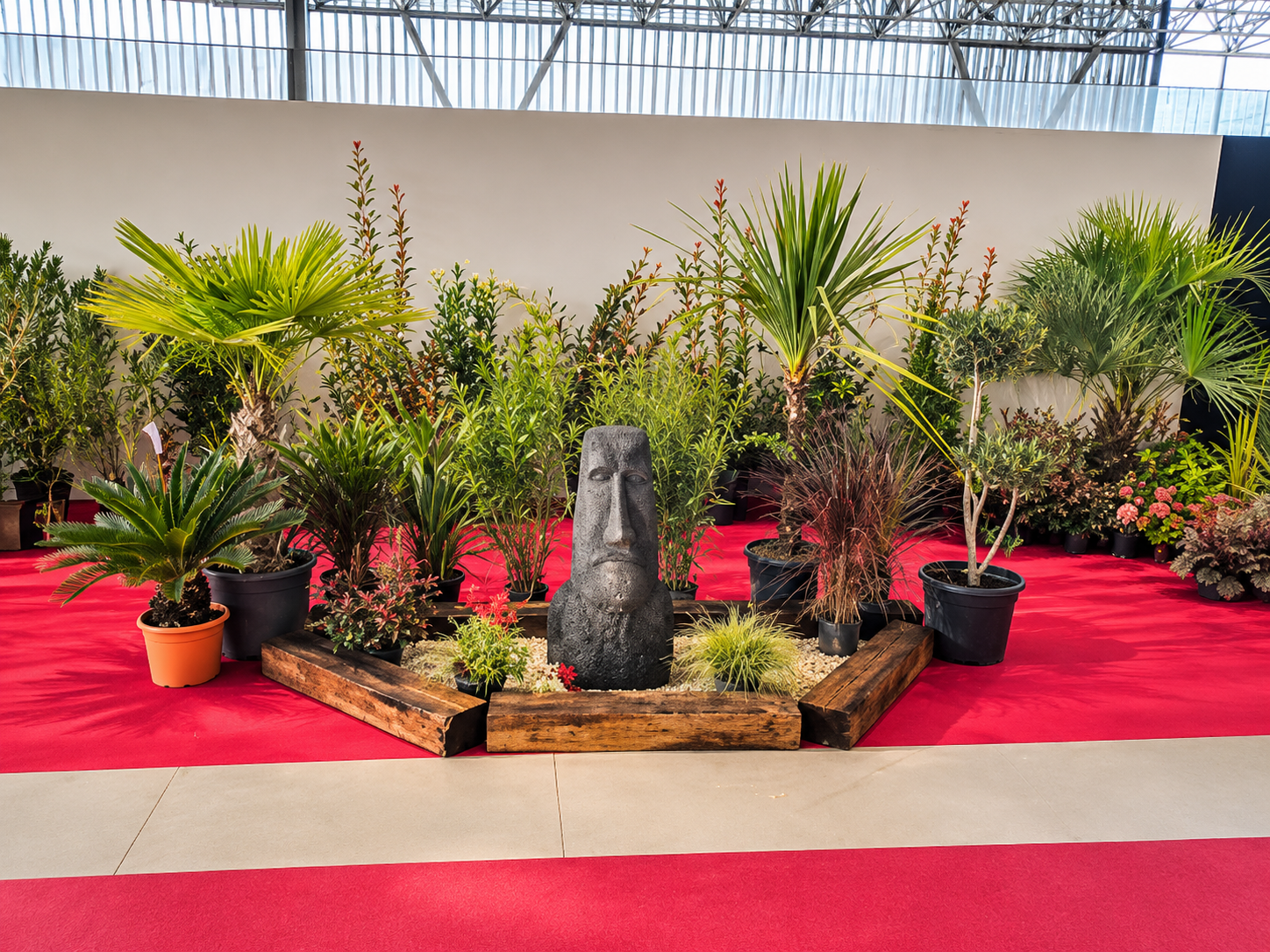 Location plantes événement professionnel, salon Montauban